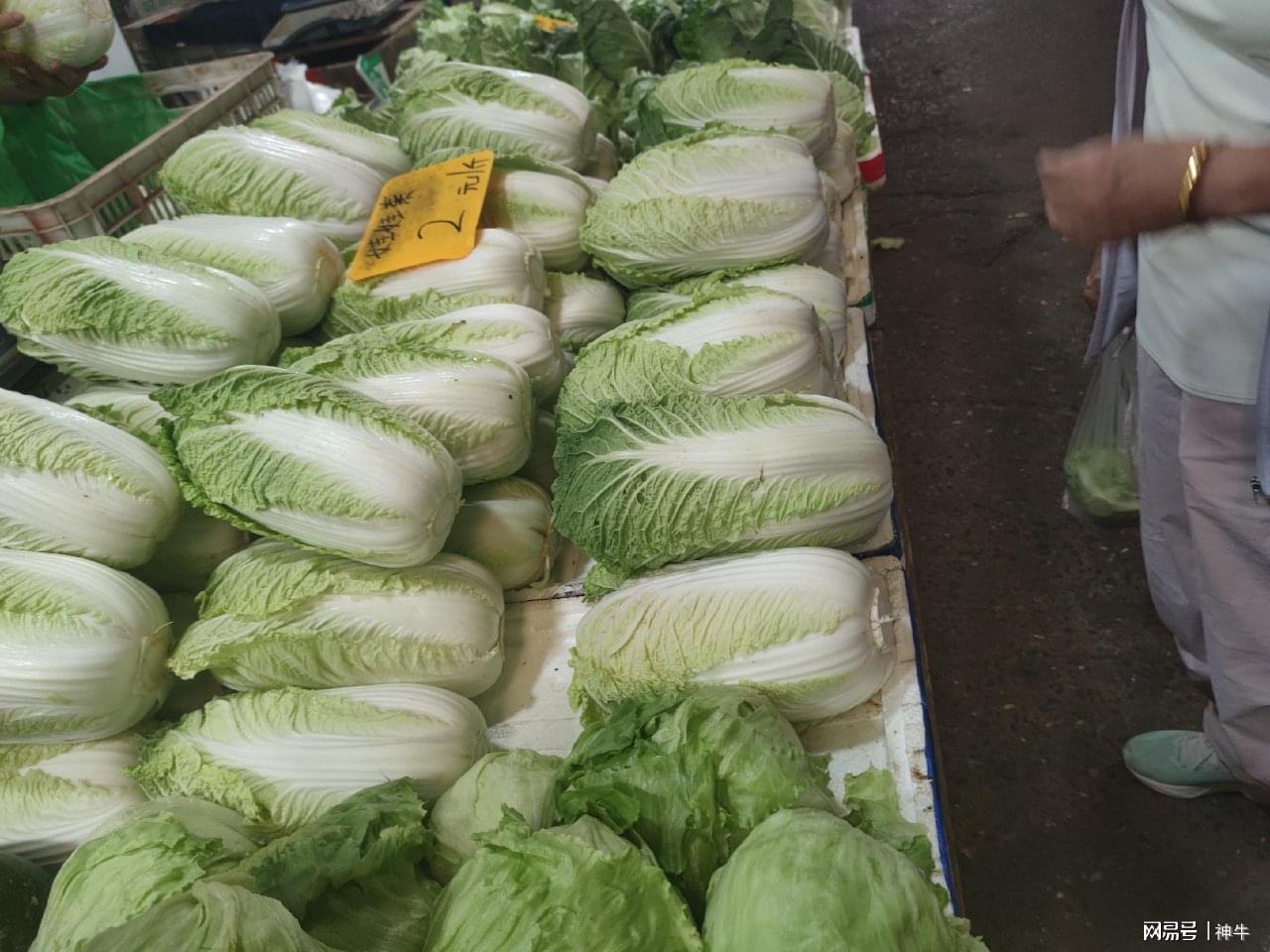出伏以后，菜市场里这6种甲醛食材，建议大家不要贪便宜买来吃
